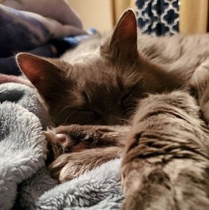 Meet your Posher, Lindsey